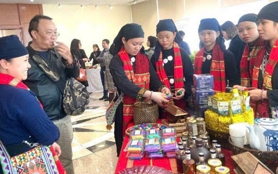 Số hóa văn hóa dân tộc – Giải pháp tạo sinh kế bền vững ở Thái Nguyên