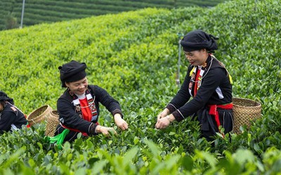 Đào tạo nghề – “Chiếc chìa khóa vàng” mở lối giảm nghèo bền vững ở Thái Nguyên