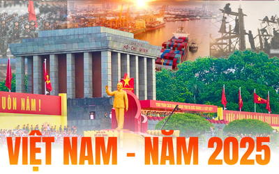 Việt Nam - năm 2025