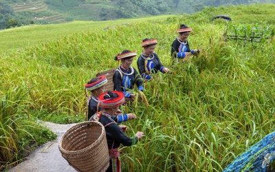 Truyền thông giảm nghèo ở Thái Nguyên: Hiệu quả thực chất và định hướng giai đoạn 2026–2030