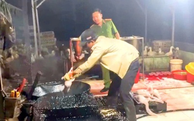 Dung dịch “bí ẩn” trong lò giết mổ chui: Hiểm họa an toàn thực phẩm trước Tết