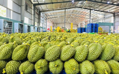 Nhìn lại một năm vươn xa của nông sản Việt