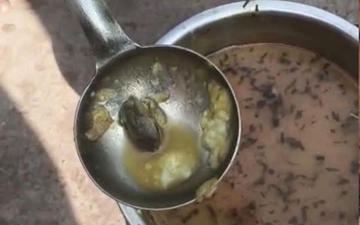 Người phụ nữ sốc nặng khi thấy ếch chết trong bữa ăn tại trường học