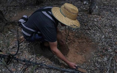 Giá vàng tăng cao, người dân và du khách đổ xô tìm tại các mỏ vàng cũ