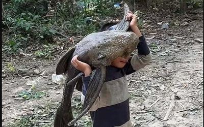 Bắt được "quái vật" khổng lồ, bé trai gây sốc khi vác đi khắp làng