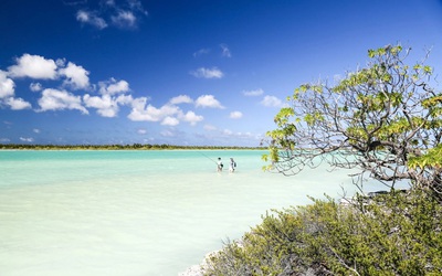 Sự thật thú vị về nơi đón năm mới 2026 sớm nhất