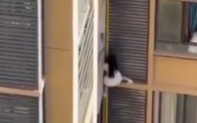 Người phụ nữ trèo ra khỏi cửa sổ căn hộ chung cư khiến hàng xóm sốc nặng