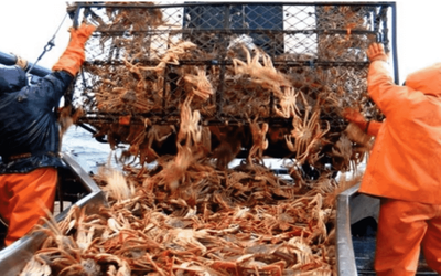 Nghề "hot" đi làm 5 ngày/năm bỏ túi 2,5 tỷ đồng, cực kì thiếu người làm