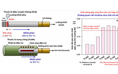 Phần lớn bác sĩ vẫn còn nhầm lẫn về nguy cơ của nicotine trong thuốc lá