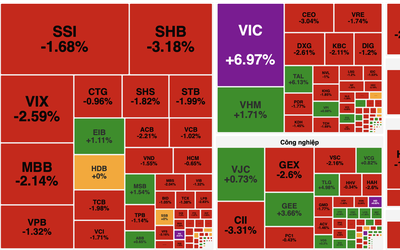Cổ phiếu Vingroup tăng trần, thị trường chứng khoán “xanh vỏ đỏ lòng”