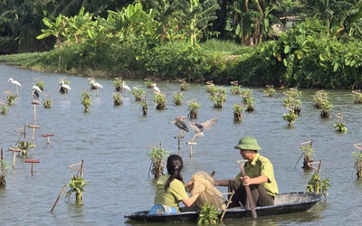 Mang lại sự bình yên cho những cánh chim trời mùa di trú
