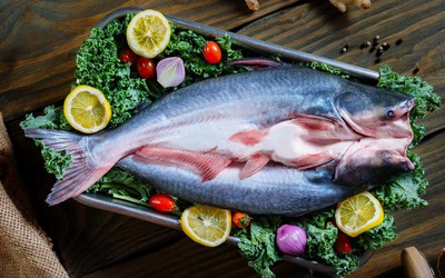 Trisedco – kiến tạo chuỗi giá trị xanh