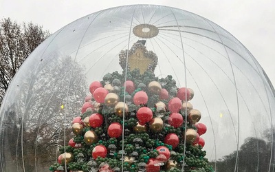 Cây thông kỳ lạ bậc nhất mùa Giáng sinh năm nay ở Anh