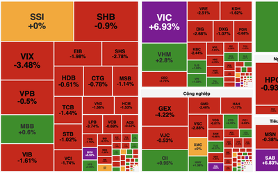 Sắc đỏ áp đảo toàn thị trường chứng khoán, cổ phiếu VIC tăng trần