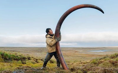 Nghề lạ: Kiếm tiền tỷ trong 2 tháng nhưng ít ai dám làm