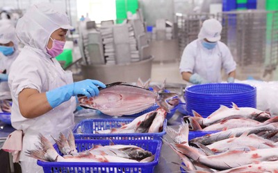Vĩnh Hoàn đặt mục tiêu doanh thu cao nhất lịch sử kinh doanh