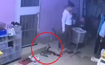 Người phụ nữ vô tình giẫm phải rắn hổ mang 2 lần ở trước cửa