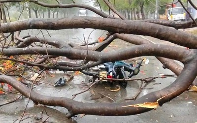 Bình Dương: Một người tử vong, hàng chục căn nhà tốc mái vì mưa giông