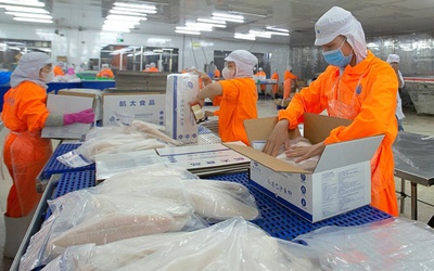 Thủy sản Nam Việt: Con bị bán giải chấp cổ phiếu, cha xuống tiền "cứu giá"
