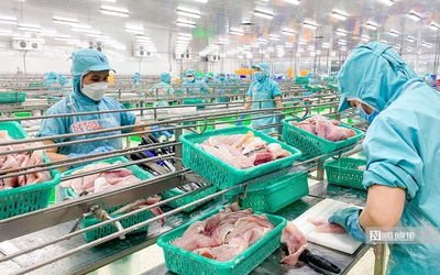 Ứng phó thuế đối ứng từ Mỹ, ngành thuỷ sản đề xuất 2 gói hỗ trợ doanh nghiệp
