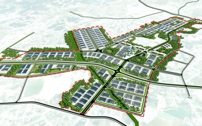 Phê duyệt Đồ án Quy hoạch Khu lâm nghiệp công nghệ cao rộng 618 ha tại Nghệ An