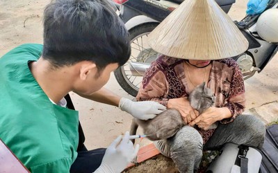 Không tiêm phòng dại sau khi bị mèo cào, 1 người tử vong