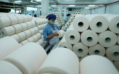 Bán cổ phiếu quỹ không đúng theo báo cáo, Sợi Thế kỷ bị UBCKNN xử phạt