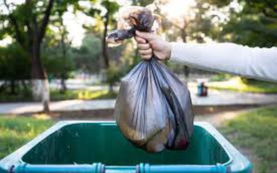 Dọn nhà, cô gái vô tình vứt thứ trị giá 100 tỷ đồng vào thùng rác