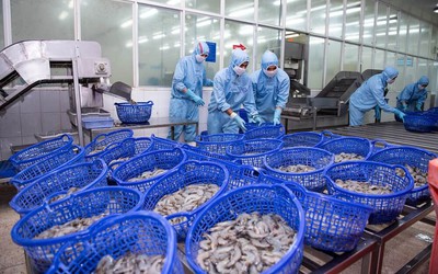 Cổ phiếu tôm FMC có bị tác động bởi thuế quan Hoa Kỳ?