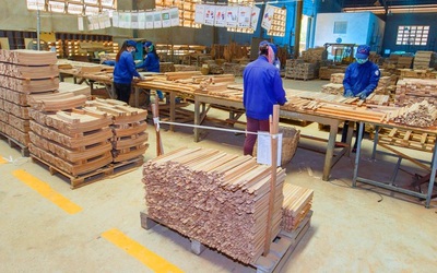 Sau biến động nhân sự thượng tầng, Phú Tài báo lãi quý I/2025 tăng vọt