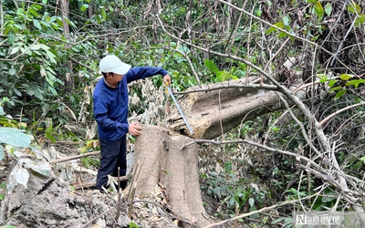 Phó Giám đốc Công an Thanh Hóa thông tin điều tra vụ phá rừng ở Bá Thước