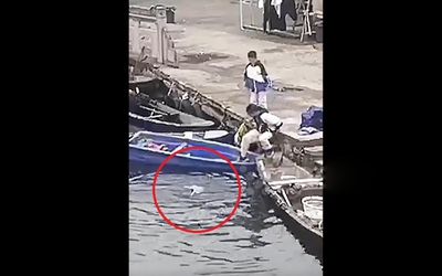 Phản ứng cực nhanh, 2 cậu bé cứu sống bé gái bị đuối nước
