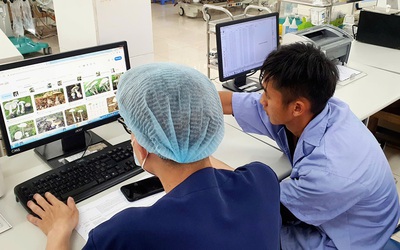 Hái nấm rừng về ăn, hai vợ chồng trẻ hôn mê sâu