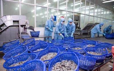 Lợi nhuận Sao Ta "bốc hơi" mạnh ngay trong quý đầu năm 2025