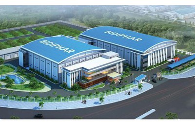 Nên mua cổ phiếu dược IMP hay DBD?