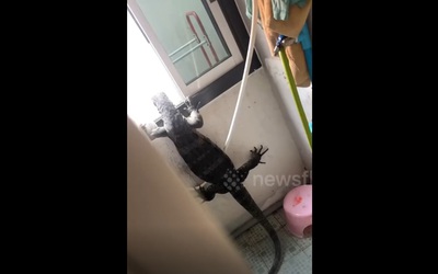 Nghe thấy tiếng động, người đàn ông sốc nặng khi thấy cảnh trước mắt