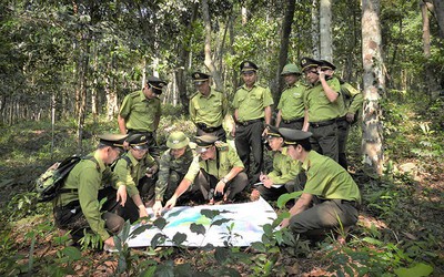 Thành lập Trung tâm Bảo vệ rừng và Di sản thế giới Phong Nha - Kẻ Bàng