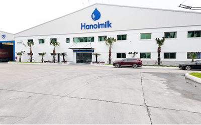 Ánh sáng le lói trong bức tranh kinh doanh của Hanoimilk