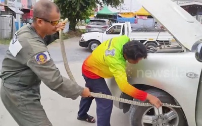 Bắt sống rắn hổ mang chúa dài 3 mét ẩn nấp trong ô tô