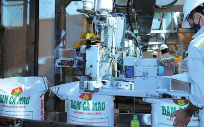 Đạm Cà Mau hoàn thành hơn 50% kế hoạch lợi nhuận năm sau quý I/2025