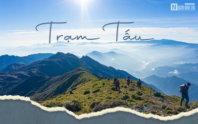 [E] Chuyện 1.000ha khoai sọ và hành trình Trạm Tấu viết tên lên bản đồ du lịch