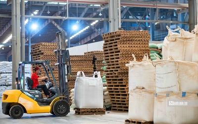 Thu nhập bình quân của người lao động đạt 8,3 triệu đồng/tháng