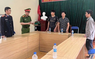 Khởi tố hai thanh niên khai thác gỗ trái phép ở Hòa Bình