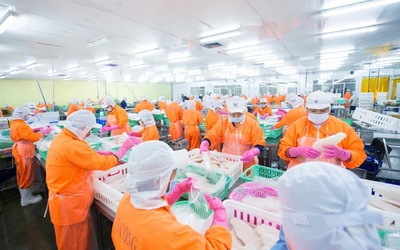 Lãnh đạo doanh nghiệp xuống tiền sau nhịp giảm sâu của cổ phiếu