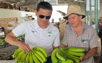Bầu Đức trấn an cổ đông trước lo ngại về chính sách thuế của Mỹ