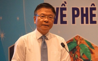Sâm Ngọc Linh và chiến lược phát triển dược liệu bền vững ở Quảng Nam