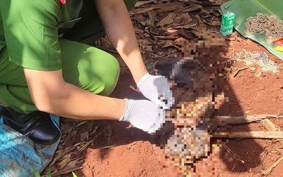 Điều tra vụ thi thể trẻ sơ sinh trong vườn chuối tại Bà Rịa - Vũng Tàu