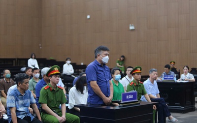 Sai phạm hoá đơn, Giám đốc công ty đất hiếm nói do dịch Covid-19