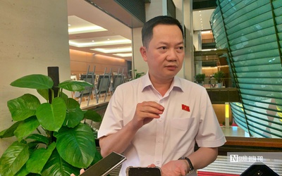 Từ vụ cán bộ Cục An toàn thực phẩm bị bắt: Sự suy thoái, biến chất của cấp quản lý
