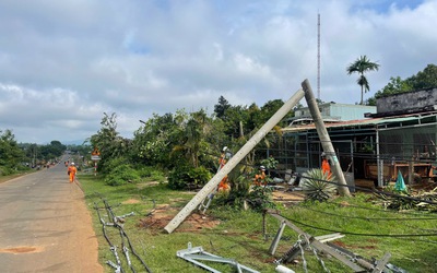 Thông tin mới vụ hàng loạt trụ điện ở Gia Lai gãy đổ